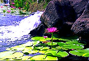 OregonPhotos has images of Hawaii for sale. digital or conventional