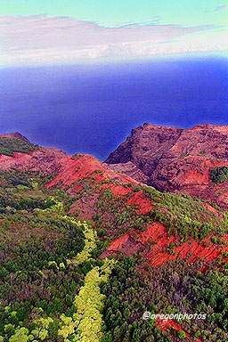 About 3,000 ft altitude in the Kokee Park area, just before dropping to the Na Pali Coastline